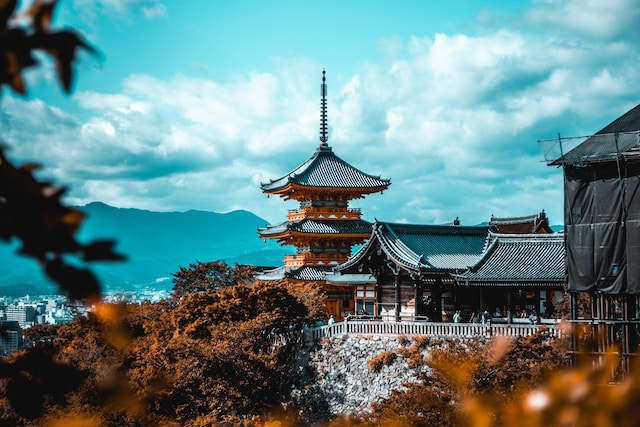 cosmin-georgian-gd3ysFyrsTQ-unsplash