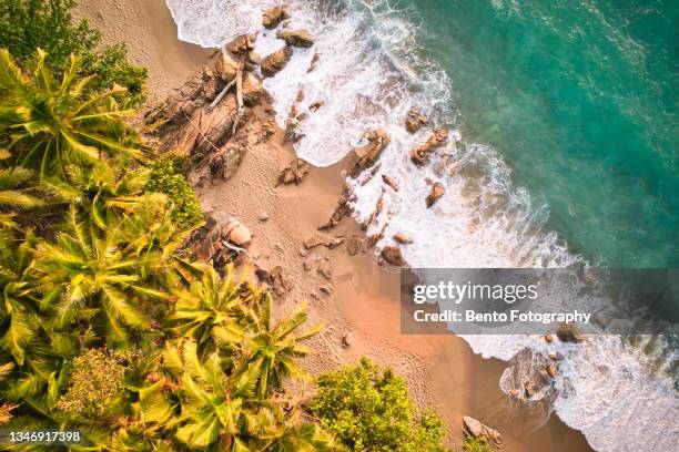 Aerial view of beautiful sand beach with tropical coconut palm tree when sunset, Phuket, Thailand.